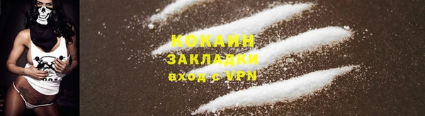 дмт Аркадак