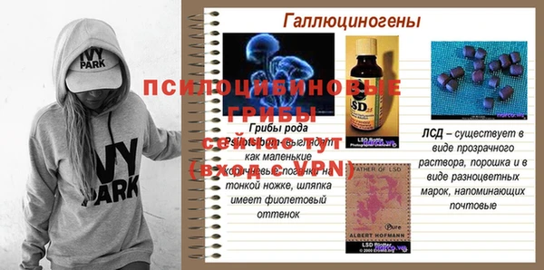 ECSTASY Арсеньев