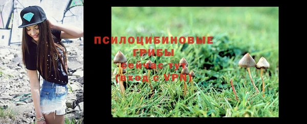 дмт Аркадак