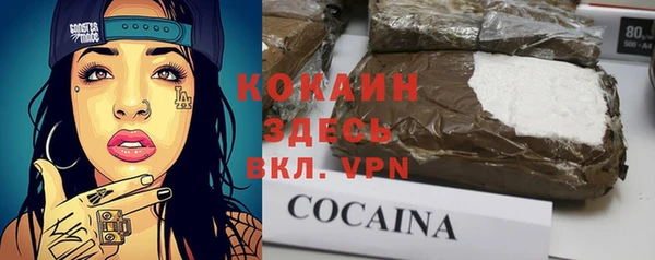 дмт Аркадак