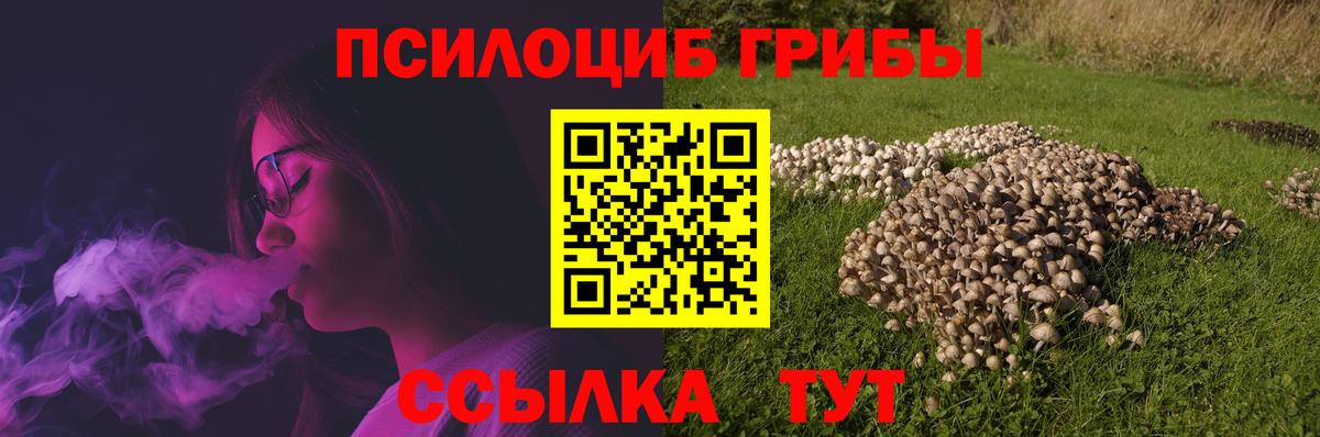 Галлюциногенные грибы Psilocybe  Вход с VPN  Псилоцибиновые грибы MAGIC MUSHROOMS  Каменск-Уральский 